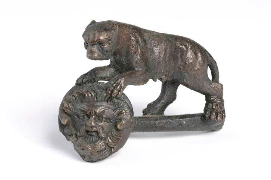 Phát hiện trên cánh đồng khiến giới khoa học rùng mình- Ảnh 2.