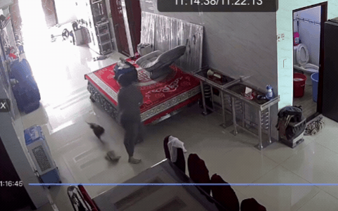 43 triệu người "nín thở" vì 1 chuyện diễn ra trong nhà Lê Dương Bảo Lâm, hàng xóm phải kéo đến xem hiện trường