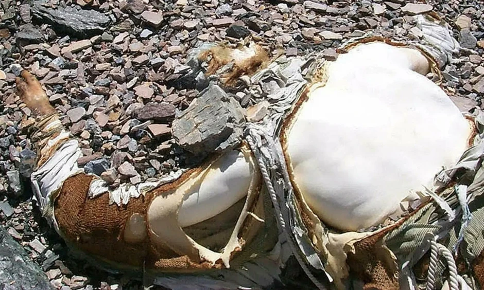 7 câu chuyện ám ảnh phía sau các “cột mốc thi thể” trên đỉnh Everest