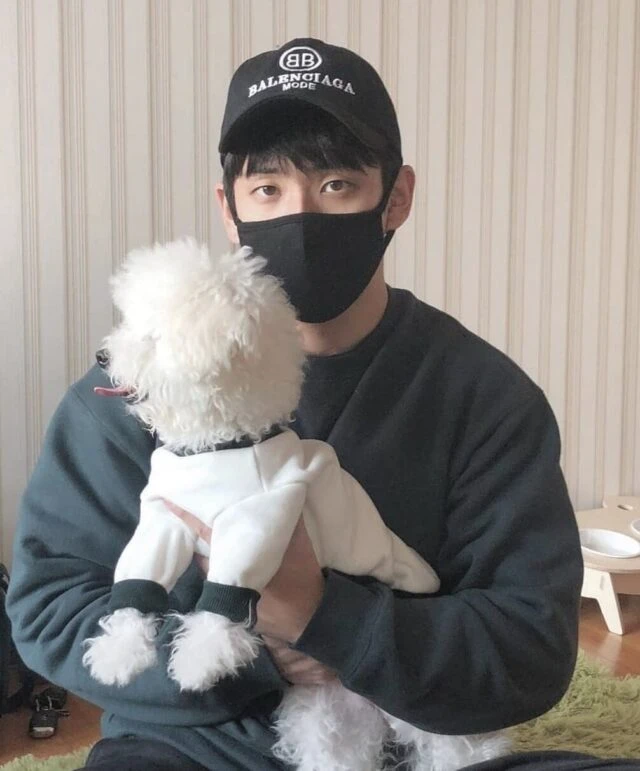 Báo Hàn dùng hình ảnh anh trai Jisoo (BLACKPINK) trong bài viết "bắt khẩn cấp anh trai Idol nhóm nhạc quấy rối tình dục nữ streamer"