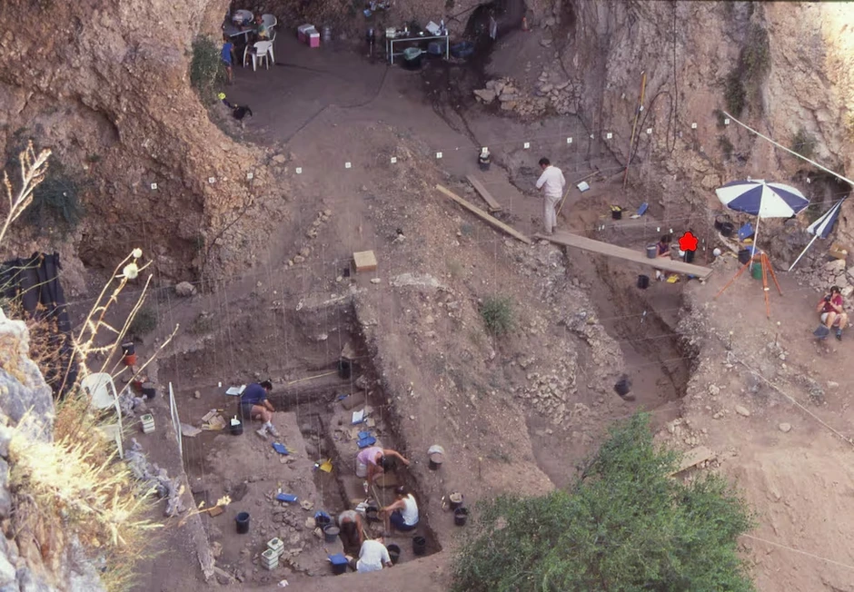 Bí ẩn trẻ sơ sinh Neanderthal lớn nhanh gấp đôi người hiện đại, đạt kích thước trẻ một tuổi chỉ sau sáu tháng