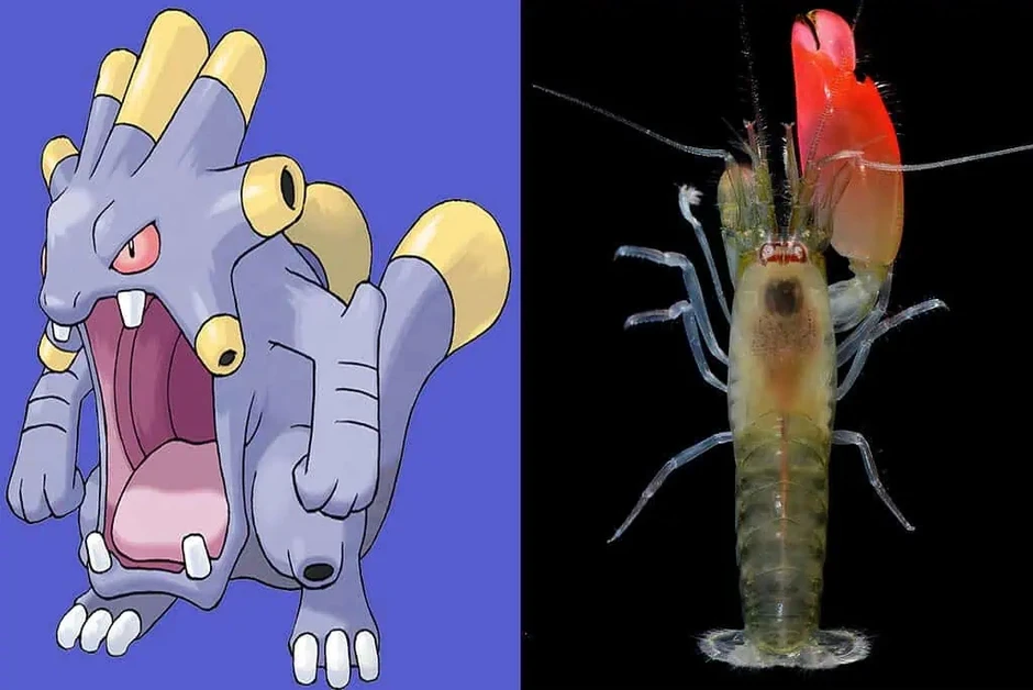 Bí ẩn về 7 loài động vật có sức mạnh tương đồng với Pokémon huyền thoại Bí ẩn về 7 loài động vật có sức mạnh tương đồng với Pokémon huyền thoại
