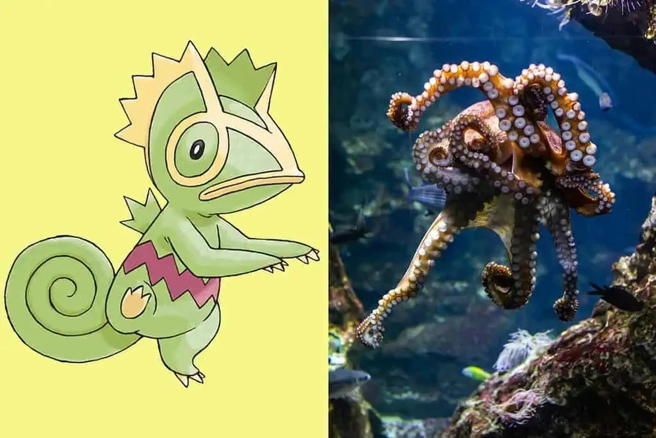 Bí ẩn về 7 loài động vật có sức mạnh tương đồng với Pokémon huyền thoại Bí ẩn về 7 loài động vật có sức mạnh tương đồng với Pokémon huyền thoại