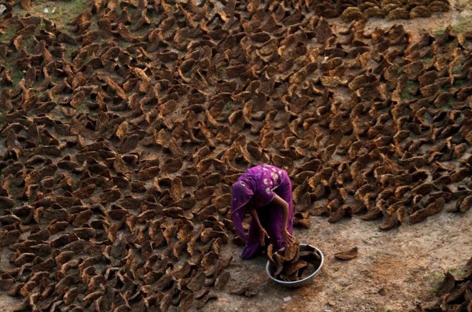 Cảnh tượng chưa từng thấy ở Ấn Độ: Khắp đường phố "xuyên không" về thời đồ đá, người dân phải dùng nguyên liệu thô sơ nhất để nấu ăn Cảnh tượng chưa từng thấy ở Ấn Độ: Khắp đường phố "xuyên không" về thời đồ đá, người dân phải dùng nguyên liệu thô sơ nhất để nấu ăn