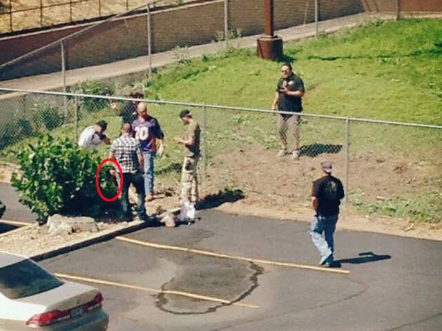 Câu chuyện về cô gái tuổi teen đã đâm mẹ mình 79 nhát và nổi tiếng trên TikTok