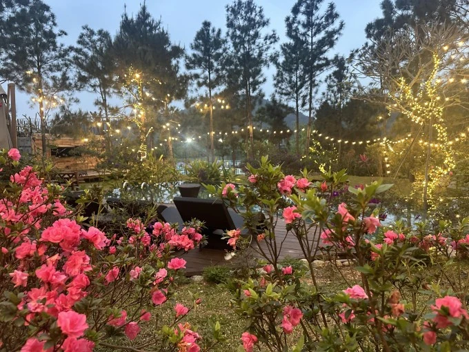 Chim làm tổ, hoa khoe sắc ở biệt thự 4.000 m2 của Trọng Tấn