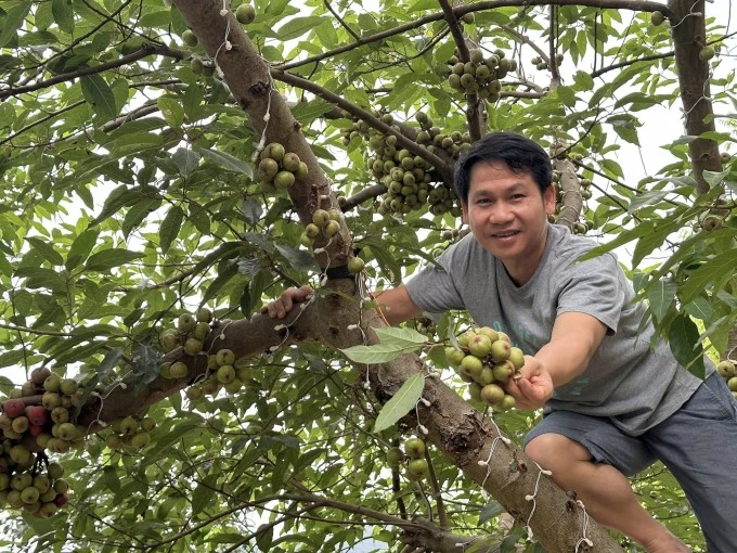 Chim làm tổ, hoa khoe sắc ở biệt thự 4.000 m2 của Trọng Tấn