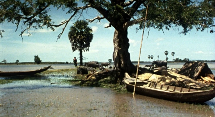 Đóng phim cùng… 300 con trâu, dàn sao Việt kể chuyện “dở khóc dở cười”