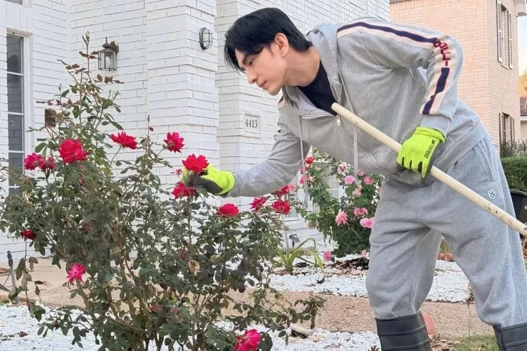 Hàng chục khóm hồng khoe sắc trong biệt thự của Đan Trường ở Mỹ