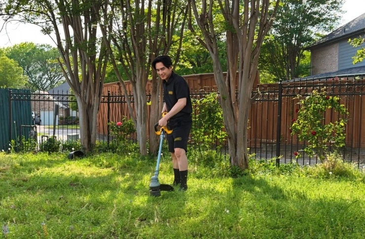 Hàng chục khóm hồng khoe sắc trong biệt thự của Đan Trường ở Mỹ