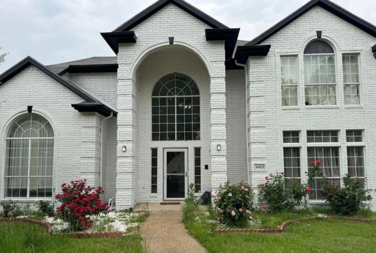 Hàng chục khóm hồng khoe sắc trong biệt thự của Đan Trường ở Mỹ