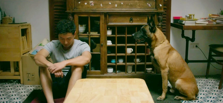 Hạt sạn to đùng ở phim Đồng Hồ Đếm Ngược