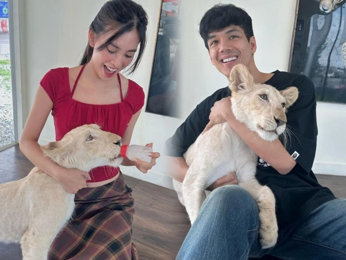 Hoa hậu Tiểu Vy: "Tôi không kiếm chồng giàu"