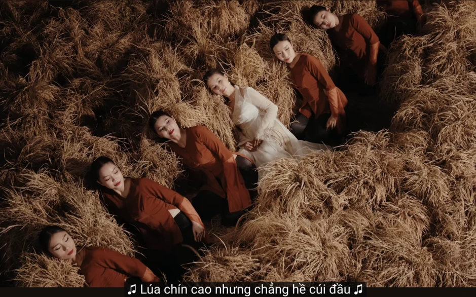 Hòa Minzy, Cẩm Ly ở đâu giữa tranh cãi "lúa chín không cúi đầu"