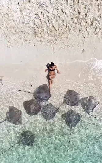 Hot girl xinh đẹp, thực hiện một buổi chụp ảnh táo bạo đến mức khiến người xem "hoảng sợ" vì quá nguy hiểm Hot girl xinh đẹp, thực hiện một buổi chụp ảnh táo bạo đến mức khiến người xem "hoảng sợ" vì quá nguy hiểm