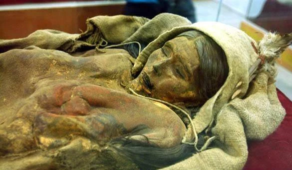 Khai quật xác ướp "công chúa ngủ trong rừng" 4.000 năm tuổi, chuyên gia giám định ADN phát hiện danh tính không ngờ
