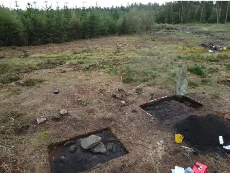 Một sinh viên vô tình tìm thấy hòn đá được giấu kín trong khu rừng ở Anh, dẫn đến một bí mật 3.700 năm