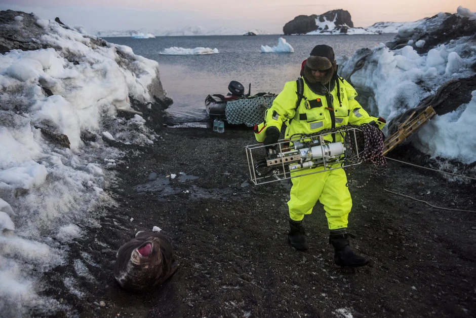 Nam Cực băng tan khiến hơn 120.000 km² đất giàu vàng bạc dần lộ diện: Cuộc đua tài nguyên không còn xa Nam Cực băng tan khiến hơn 120.000 km² đất giàu vàng bạc dần lộ diện: Cuộc đua tài nguyên không còn xa