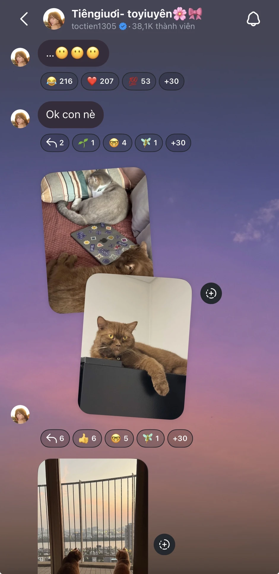 Netizen tìm kiếm "con của Tóc Tiên", nữ ca sĩ công khai luôn