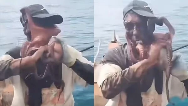 Ngư dân bị bạch tuộc "nuốt chửng" toàn bộ khuôn mặt, 8 xúc tu siết chặt như phim kinh dị Ngư dân bị bạch tuộc "nuốt chửng" toàn bộ khuôn mặt, 8 xúc tu siết chặt như phim kinh dị