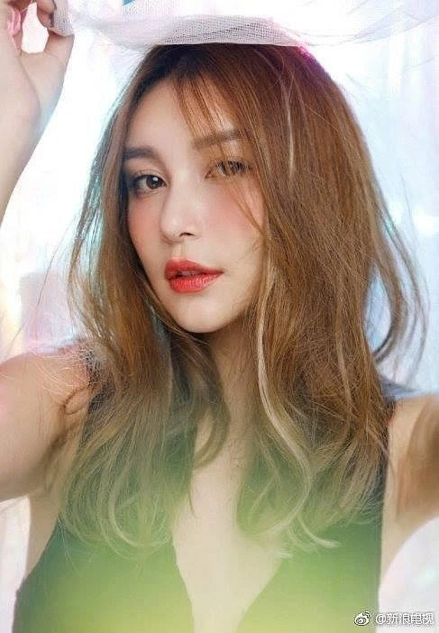 Người mẫu Lý Vũ Đồng bị bắt