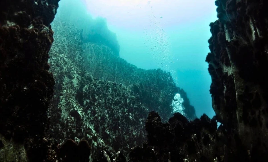 Nhấc một phiến đá lên từ độ sâu 2.515m, các nhà khoa học phát hiện "một thế giới không nên tồn tại"