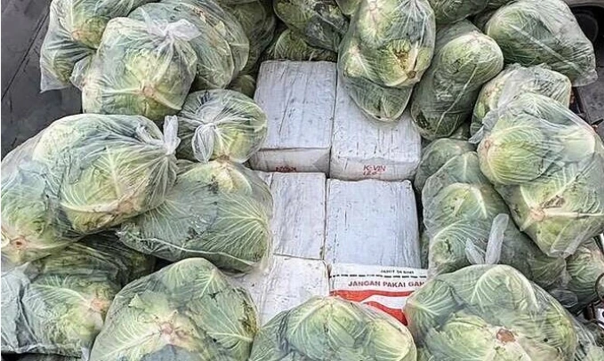 Phát hiện 1.600 kg ma túy đội lốt bắp cải Phát hiện 1.600 kg ma túy đội lốt bắp cải