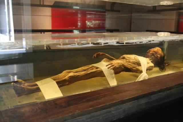 Phát hiện gói mì được sản xuất năm 1994 trong mộ cổ hơn 2.000 tuổi, chuyên gia ngay lập tức gọi cảnh sát Phát hiện gói mì được sản xuất năm 1994 trong mộ cổ hơn 2.000 tuổi, chuyên gia ngay lập tức gọi cảnh sát