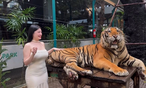 Quay video ngay bên cạnh thú dữ, hot girl khiến người xem "nhăn mặt" vì quá liều lĩnh Quay video ngay bên cạnh thú dữ, hot girl khiến người xem "nhăn mặt" vì quá liều lĩnh