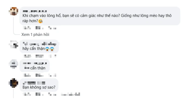 Quay video ngay bên cạnh thú dữ, hot girl khiến người xem "nhăn mặt" vì quá liều lĩnh Quay video ngay bên cạnh thú dữ, hot girl khiến người xem "nhăn mặt" vì quá liều lĩnh