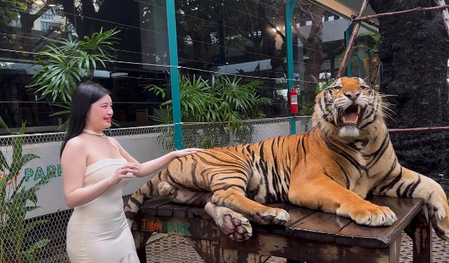 Quay video ngay bên cạnh thú dữ, hot girl khiến người xem "nhăn mặt" vì quá liều lĩnh Quay video ngay bên cạnh thú dữ, hot girl khiến người xem "nhăn mặt" vì quá liều lĩnh