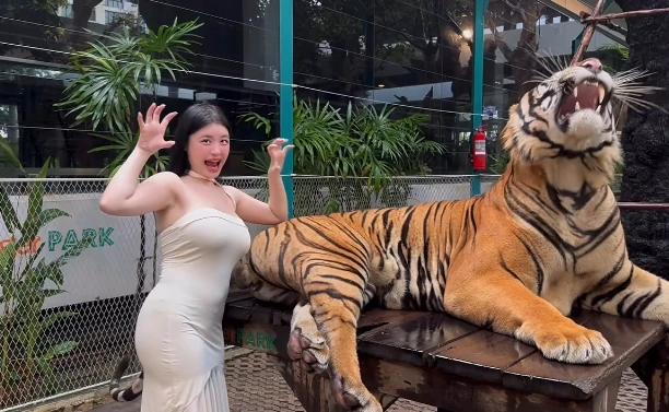 Quay video ngay bên cạnh thú dữ, hot girl khiến người xem "nhăn mặt" vì quá liều lĩnh Quay video ngay bên cạnh thú dữ, hot girl khiến người xem "nhăn mặt" vì quá liều lĩnh