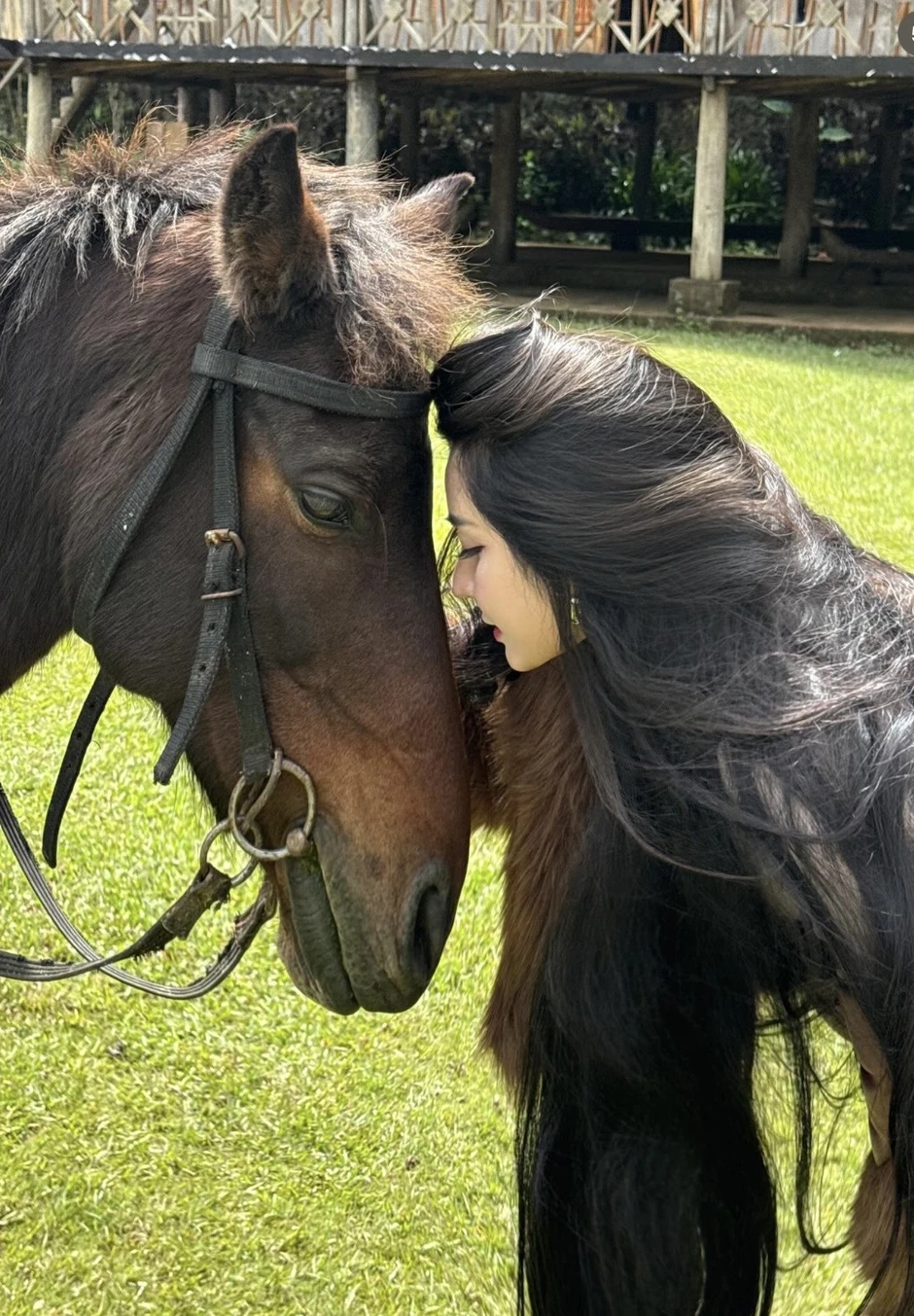 Rời yên ngựa để "xuống nước", hot girl làng kỵ sĩ gây bão với màn biến hình