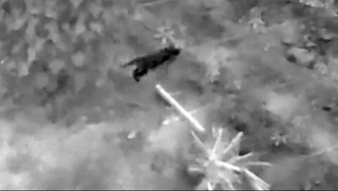 Sinh vật bí ẩn phá nát vườn chuối suốt 2 tuần: 60 người truy tìm khi camera nhiệt ghi lại bóng dáng lạ