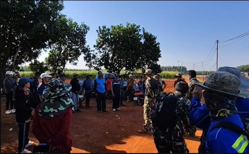 Sinh vật bí ẩn phá nát vườn chuối suốt 2 tuần: 60 người truy tìm khi camera nhiệt ghi lại bóng dáng lạ