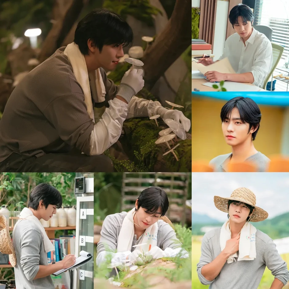 Sold Out On You: Ngôn tình hay như vàng giữa đống cát