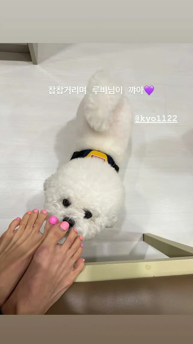 Song Hye Kyo lộ ảnh hẹn hò tại nhà riêng với nhân vật đặc biệt