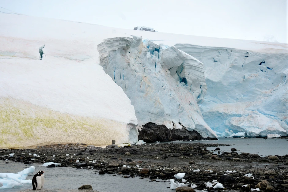 Thế giới sắp vĩnh viễn mất đi 1 màu sắc