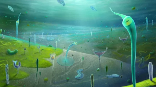 700 sinh vật lạ từ Trung Quốc viết lại lịch sử sự sống kenhtingame com thumb 700 sinh vat la tu trung quoc viet lai lich su su song a4fa1775641143313 940w