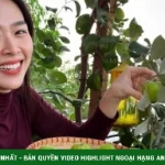 Ảnh sao 1/4: Diệp Bảo Ngọc khoe vườn sân thượng trong biệt thự 100 m2 kenhtingame com thumb anh sao 1 4 diep bao ngoc khoe vuon san thuong trong biet thu 100 m2 b60b1775017125584 940w