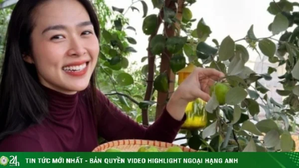 Ảnh sao 1/4: Diệp Bảo Ngọc khoe vườn sân thượng trong biệt thự 100 m2 kenhtingame com thumb anh sao 1 4 diep bao ngoc khoe vuon san thuong trong biet thu 100 m2 b60b1775017125584 940w