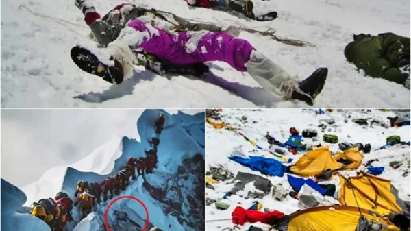 Bên trong “Thung lũng Cầu Vồng” trên đỉnh Everest: Nghĩa địa lộ thiên ám ảnh của những người chinh phục đỉnh núi cao nhất thế giới kenhtingame com thumb ben trong thung lung cau vong tren dinh everest nghia dia lo thien am anh cua nhung nguoi chinh phuc dinh nui cao nhat the gioi eccd1775280200565 940w