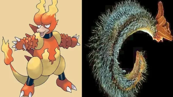 Bí ẩn về 7 loài động vật có sức mạnh tương đồng với Pokémon huyền thoại kenhtingame com thumb bi an ve 7 loai dong vat co suc manh tuong dong voi pokemon huyen thoai c21e1775277602682 940w