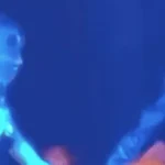 Bích Phương - Tăng Duy Tân tay trong tay đi sự kiện sau công khai về chung nhà kenhtingame com thumb bich phuong tang duy tan tay trong tay di su kien sau cong khai ve chung nha 16eb1775186699191 940w