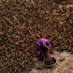 Cảnh tượng chưa từng thấy ở Ấn Độ: Khắp đường phố "xuyên không" về thời đồ đá, người dân phải dùng nguyên liệu thô sơ nhất để nấu ăn kenhtingame com thumb canh tuong chua tung thay o an do khap duong pho quot xuyen khong quot ve thoi do da nguoi dan phai dung nguyen lieu tho so nhat de nau an 89751775786865270 940w