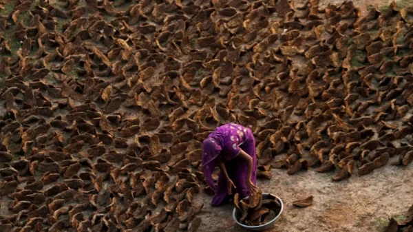 Cảnh tượng chưa từng thấy ở Ấn Độ: Khắp đường phố "xuyên không" về thời đồ đá, người dân phải dùng nguyên liệu thô sơ nhất để nấu ăn kenhtingame com thumb canh tuong chua tung thay o an do khap duong pho quot xuyen khong quot ve thoi do da nguoi dan phai dung nguyen lieu tho so nhat de nau an 89751775786865270 940w