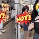 CĐM "đứng hình" khoảnh khắc hớ hênh của hot TikToker ngay trên sóng livestream bán hàng, chỉ là tai nạn nghề nghiệp! kenhtingame com thumb cdm quot dung hinh quot khoanh khac ho henh cua hot tiktoker ngay tren song livestream ban hang chi la tai nan nghe nghiep b4501776439078167 940w