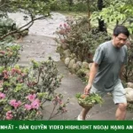 Chim làm tổ, hoa khoe sắc ở biệt thự 4.000 m2 của Trọng Tấn kenhtingame com thumb chim lam to hoa khoe sac o biet thu 4000 m2 cua trong tan 9f421777384270494 940w