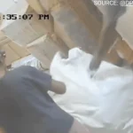 Con gái gói cha vào bao tải, gửi bưu cục để quay video câu view kenhtingame com thumb con gai goi cha vao bao tai gui buu cuc de quay video cau view 57bc1775192648404 940w