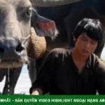 Đóng phim cùng… 300 con trâu, dàn sao Việt kể chuyện “dở khóc dở cười” kenhtingame com thumb dong phim cung 300 con trau dan sao viet ke chuyen do khoc do cuoi dfdd1776650337036 940w